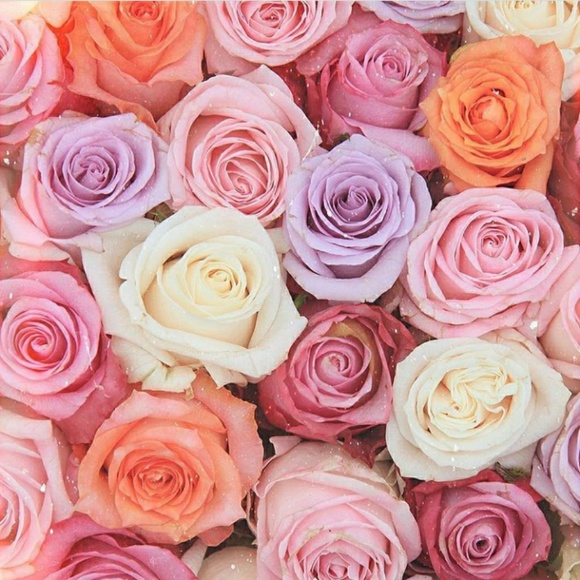 Meet your Posher, Jenni - Picture 1 of 1